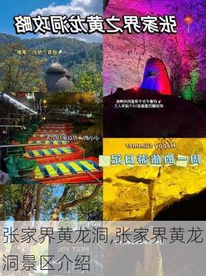 张家界黄龙洞,张家界黄龙洞景区介绍-第3张图片-奥莱旅游网