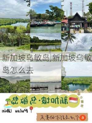 新加坡乌敏岛,新加坡乌敏岛怎么去-第2张图片-奥莱旅游网