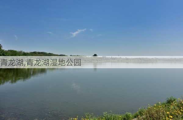 青龙湖,青龙湖湿地公园