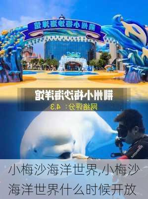 小梅沙海洋世界,小梅沙海洋世界什么时候开放-第2张图片-奥莱旅游网