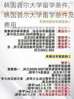 韩国首尔大学留学条件,韩国首尔大学留学条件及费用