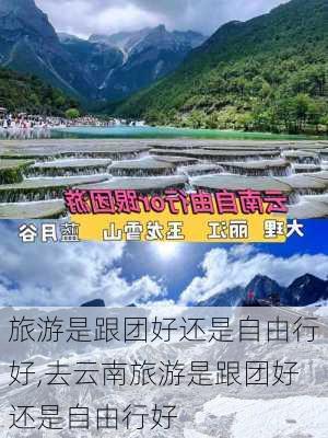 旅游是跟团好还是自由行好,去云南旅游是跟团好还是自由行好-第3张图片-奥莱旅游网