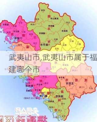 武夷山市,武夷山市属于福建哪个市-第1张图片-奥莱旅游网