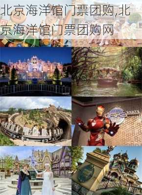 北京海洋馆门票团购,北京海洋馆门票团购网-第2张图片-奥莱旅游网