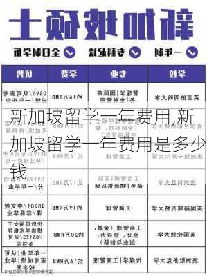 新加坡留学一年费用,新加坡留学一年费用是多少钱-第2张图片-奥莱旅游网