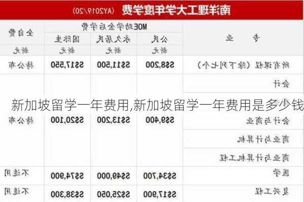 新加坡留学一年费用,新加坡留学一年费用是多少钱-第3张图片-奥莱旅游网