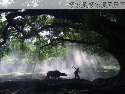 杨家溪,杨家溪风景区-第3张图片-奥莱旅游网