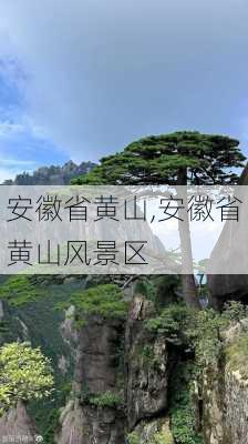 安徽省黄山,安徽省黄山风景区-第3张图片-奥莱旅游网