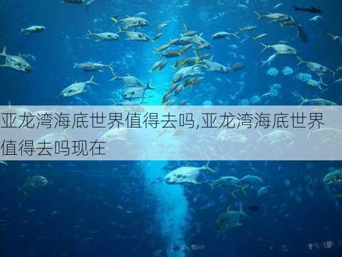 亚龙湾海底世界值得去吗,亚龙湾海底世界值得去吗现在-第2张图片-奥莱旅游网