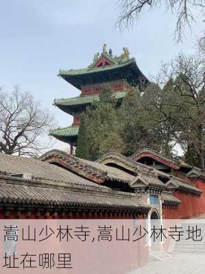 嵩山少林寺,嵩山少林寺地址在哪里-第3张图片-奥莱旅游网