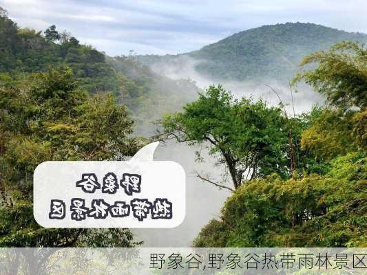 野象谷,野象谷热带雨林景区-第2张图片-奥莱旅游网