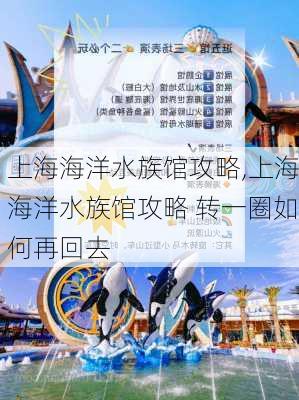 上海海洋水族馆攻略,上海海洋水族馆攻略 转一圈如何再回去-第2张图片-奥莱旅游网