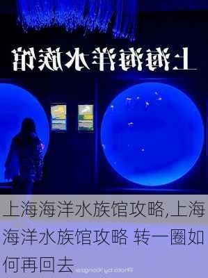 上海海洋水族馆攻略,上海海洋水族馆攻略 转一圈如何再回去