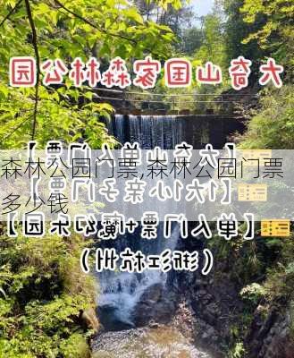 森林公园门票,森林公园门票多少钱-第3张图片-奥莱旅游网