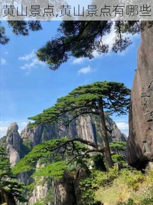 黄山景点,黄山景点有哪些-第3张图片-奥莱旅游网