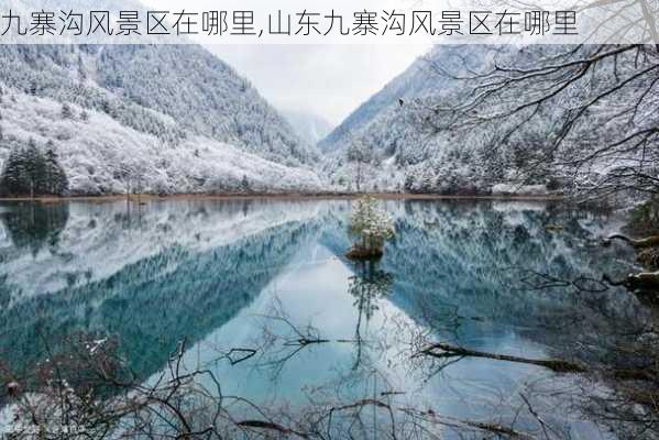 九寨沟风景区在哪里,山东九寨沟风景区在哪里-第2张图片-奥莱旅游网