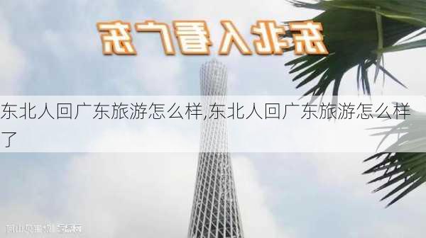 东北人回广东旅游怎么样,东北人回广东旅游怎么样了-第3张图片-奥莱旅游网