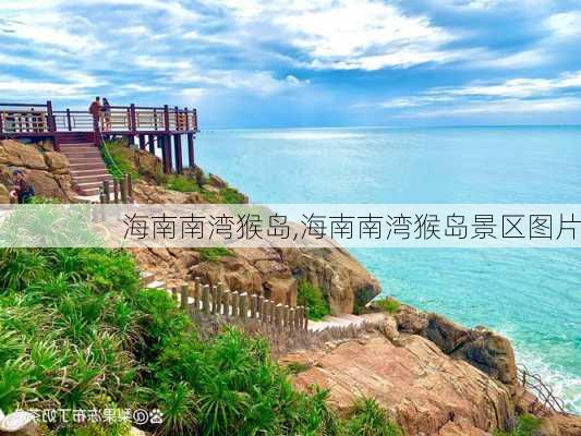 海南南湾猴岛,海南南湾猴岛景区图片-第2张图片-奥莱旅游网