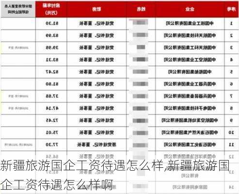 新疆旅游国企工资待遇怎么样,新疆旅游国企工资待遇怎么样啊-第3张图片-奥莱旅游网