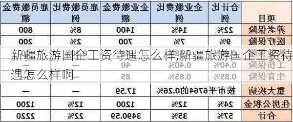 新疆旅游国企工资待遇怎么样,新疆旅游国企工资待遇怎么样啊-第2张图片-奥莱旅游网