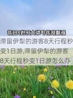 滞留伊犁的游客8天行程秒变1日游,滞留伊犁的游客8天行程秒变1日游怎么办