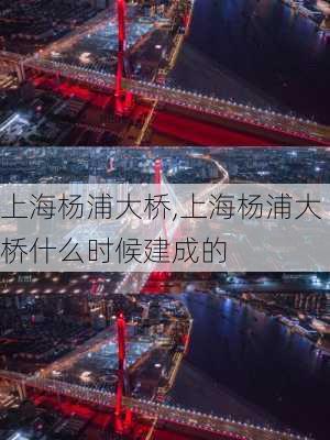 上海杨浦大桥,上海杨浦大桥什么时候建成的-第1张图片-奥莱旅游网