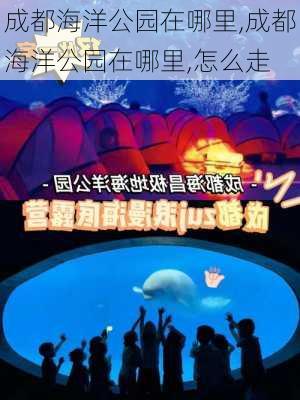 成都海洋公园在哪里,成都海洋公园在哪里,怎么走-第3张图片-奥莱旅游网