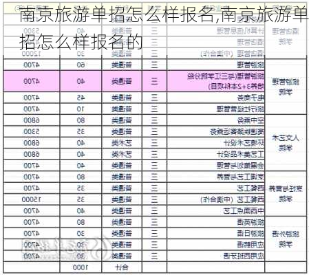 南京旅游单招怎么样报名,南京旅游单招怎么样报名的-第3张图片-奥莱旅游网