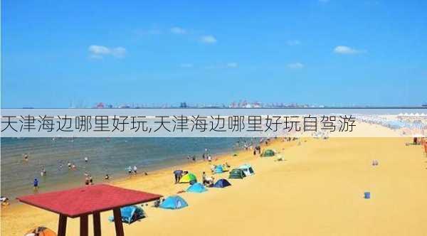 天津海边哪里好玩,天津海边哪里好玩自驾游-第3张图片-奥莱旅游网