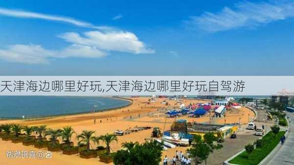 天津海边哪里好玩,天津海边哪里好玩自驾游-第2张图片-奥莱旅游网