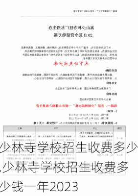 少林寺学校招生收费多少,少林寺学校招生收费多少钱一年2023-第3张图片-奥莱旅游网